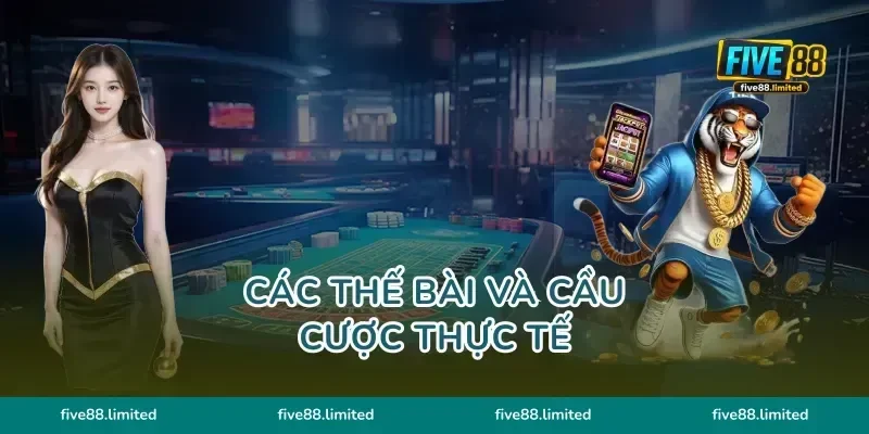 Các thế bài và cầu cược thực tế